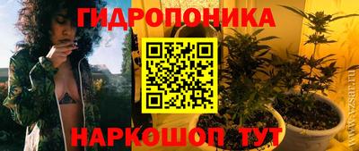 ГАЛЛЮЦИНОГЕННЫЕ ГРИБЫ Владимир
