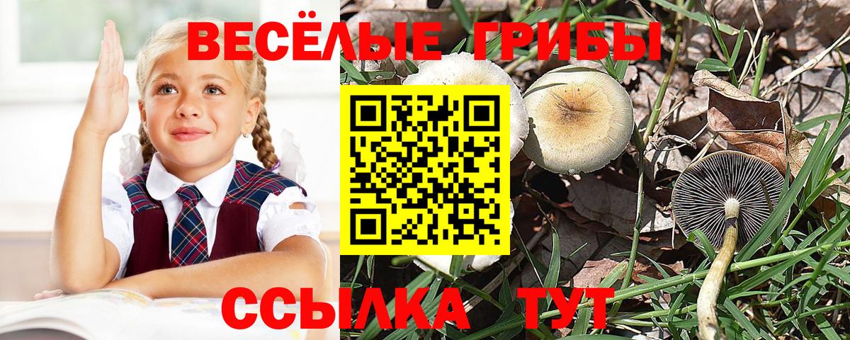 Галлюциногенные грибы мицелий Красноармейск