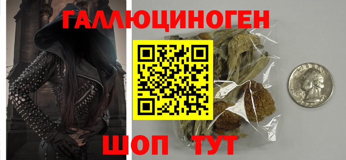 Красноармейск  Псилоцибиновые грибы прущие грибы  Вход с VPN 